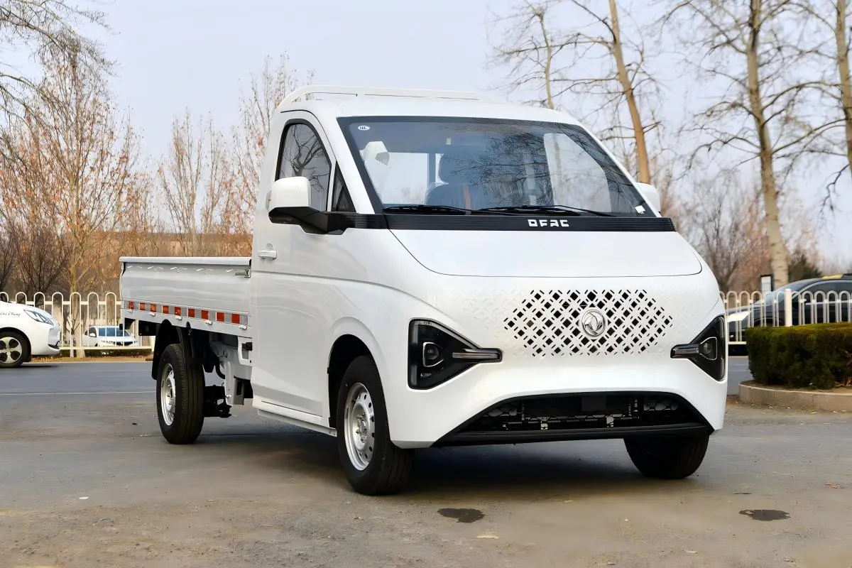 Ruilida T7 1.6L Gasoline Micro Truck